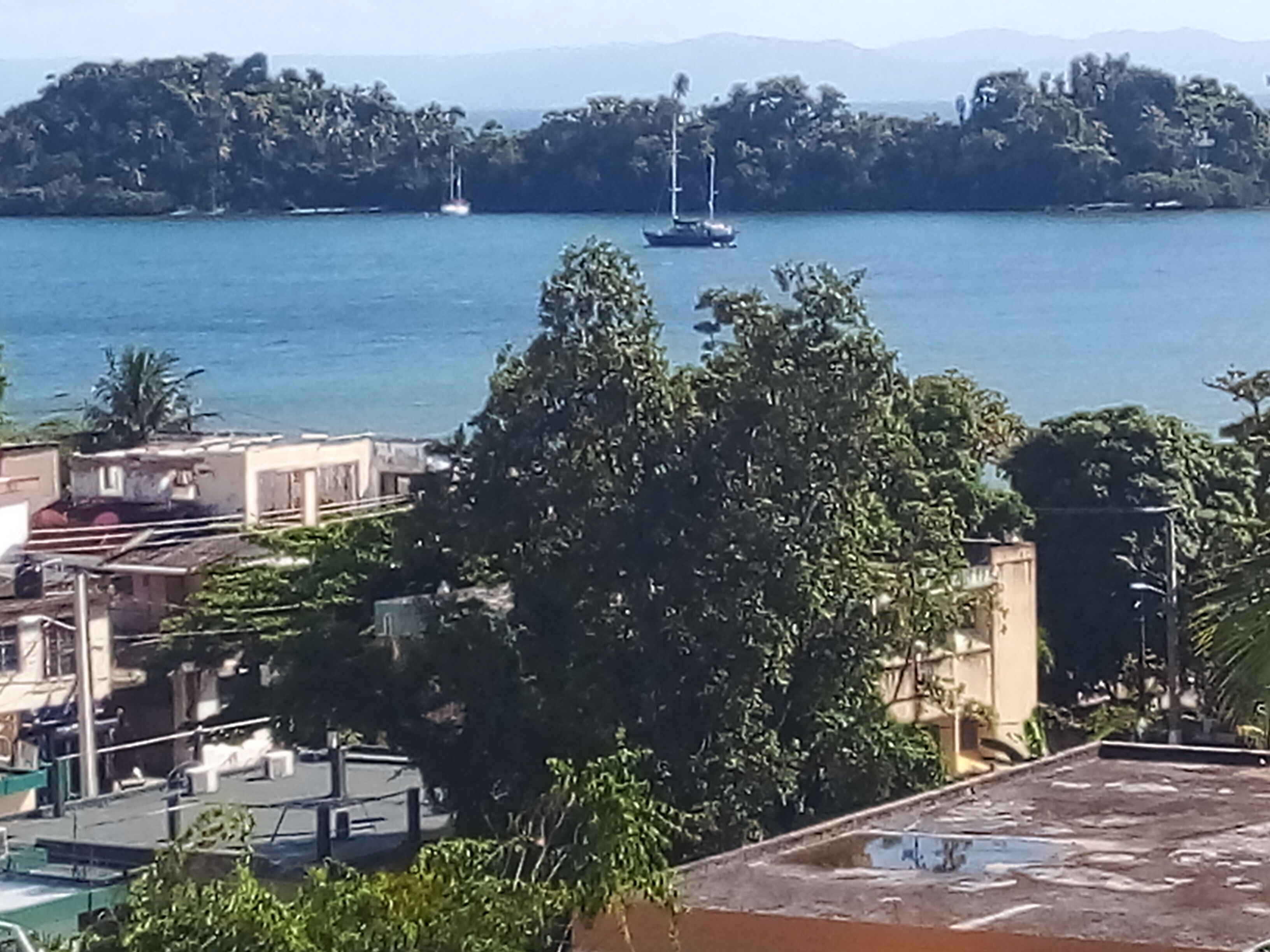 A coastal view with a sailboat on the water, buildings, and trees.