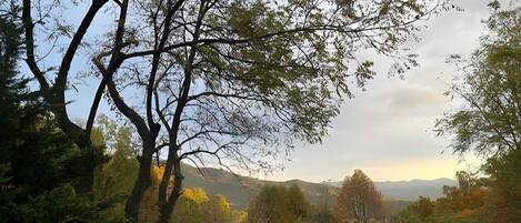 Un paisaje boscoso con cielo despejado y montañas a lo lejos.