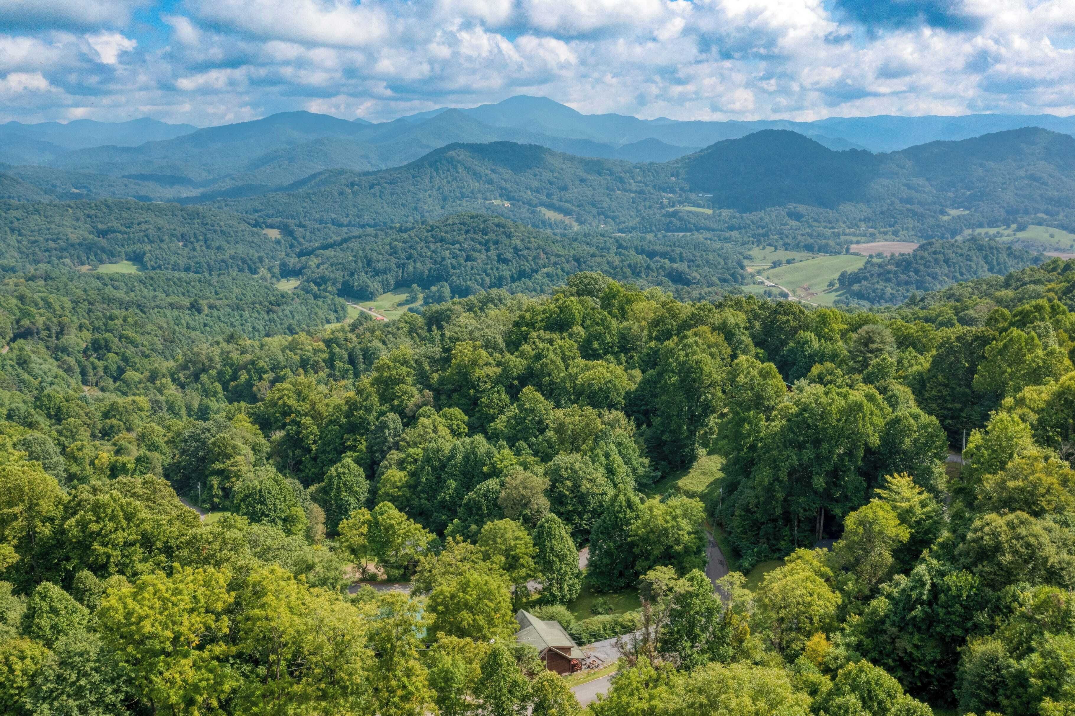 A forested landscape with a small cabin and a winding road.