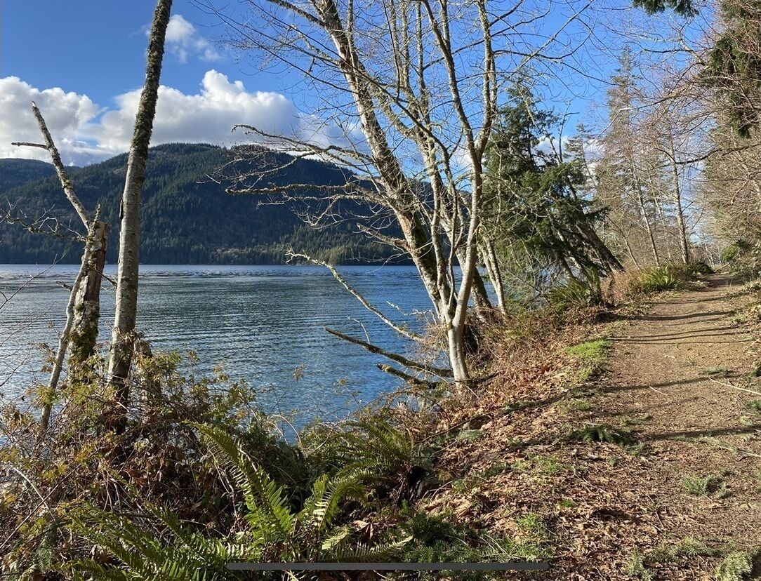 En stig som går längs med en sjö, med träd och ett berg i bakgrunden.