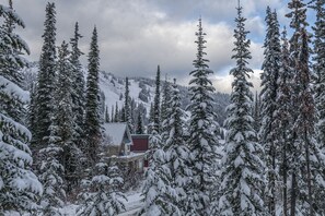 Exterior - Amazing location with private hot tub, sauna, laundry and ground level suite.  (Silver Star Mountain)