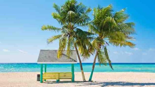 Escena de playa con una cabaña pequeña y dos palmeras.