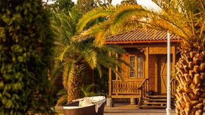 A wooden building with a tiled roof, surrounded by palm trees and a wicker chair. - Chateau Kvirike (Kobuleti)