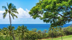 A golf course with palm trees and a view of the ocean.