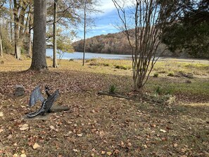 Property grounds - Serenity Cove-a unique waterfront home with canoe, kayak and fire pit! (Scottsboro)
