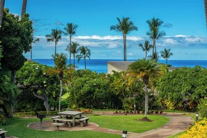 Outdoor dining - Stunning Ocean Views! Renovated Wailea Ekolu 502 (Wailea)