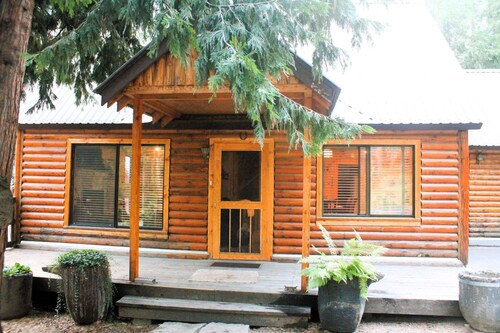 Aspen Escape - Steps from town! Pet friendly, A/C!
