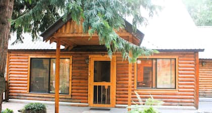 Aspen Escape - Steps from town! Pet friendly, A/C!
