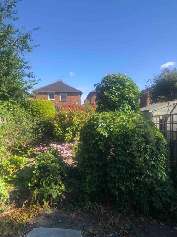 Backyard surrounded by lush vegetation and a charming brick house with a chimney.