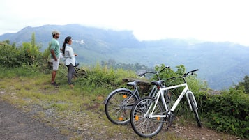 Una bicicleta estacionada en un sendero con un paisaje montañoso al fondo.