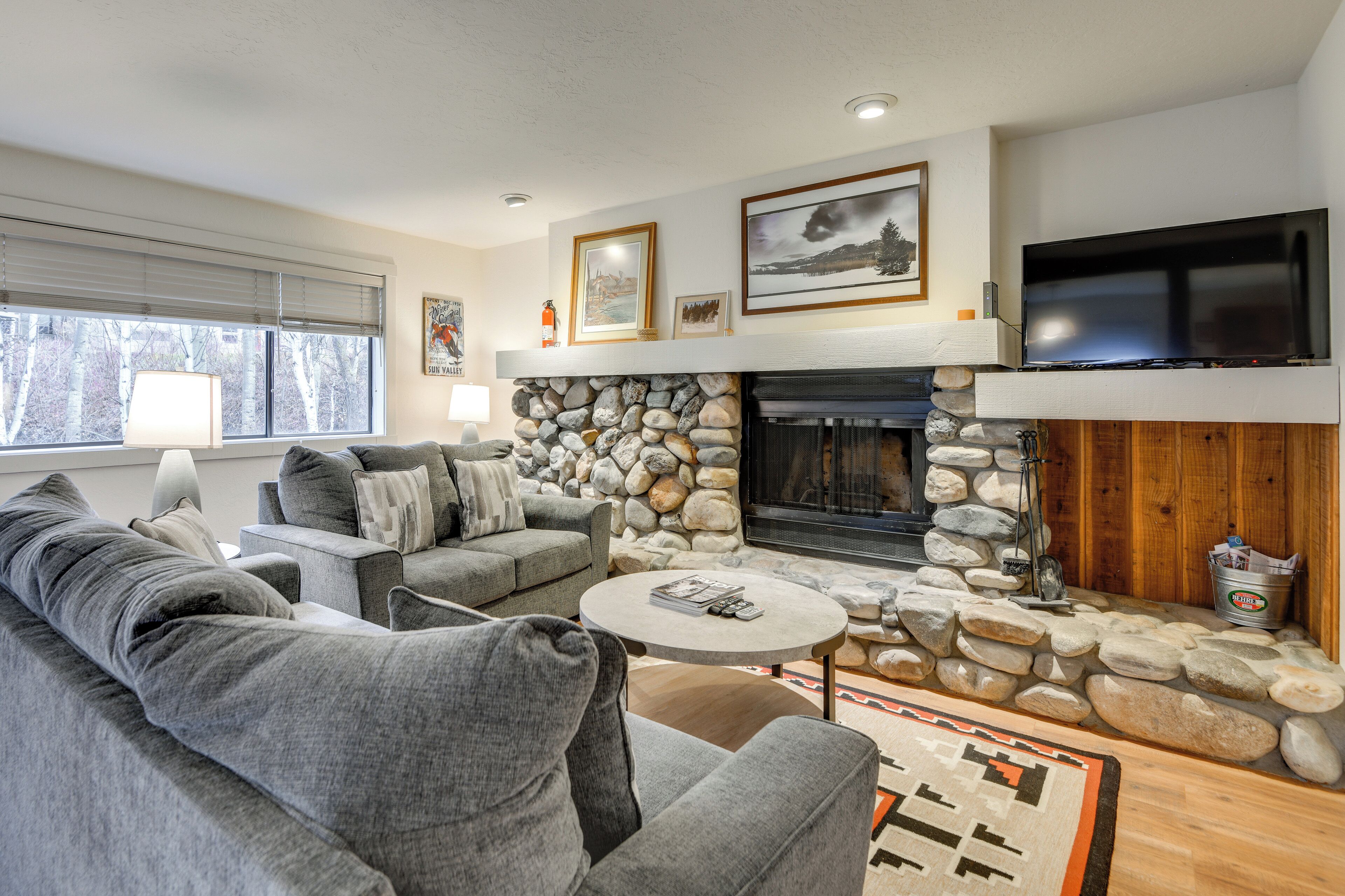 TV, fireplace, books