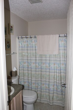 Hair dryer, towels, soap, toilet paper - Cozy Patio Villa, close to Nancy Lopez Champion Golf & 4 Executive  Golf Courses (The Villages)