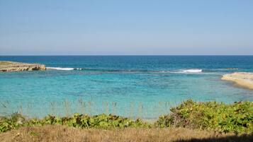 Plage, chaises longues, serviettes de plage