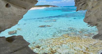 Beachfront family home steps from the perfect secluded ocean beach.