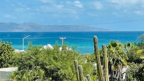A coastal landscape with cacti and a clear view of the sea. - La Ventana Apartments Depa #4 (La Ventana)