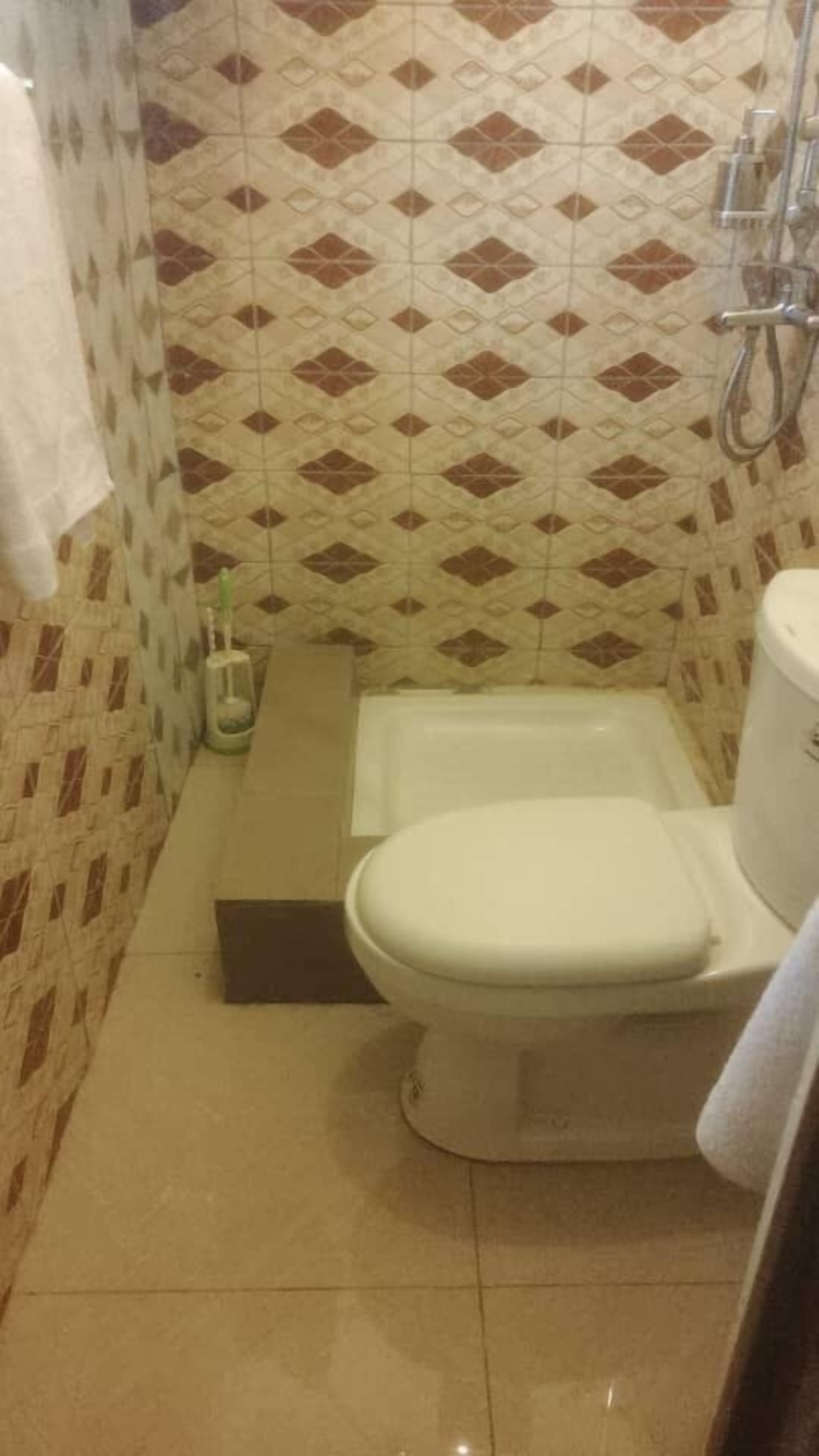 Un baño pequeño con inodoro, ducha y un revestimiento de pared estampado.