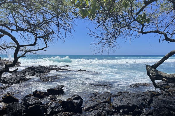 Chaises longues, serviettes de plage