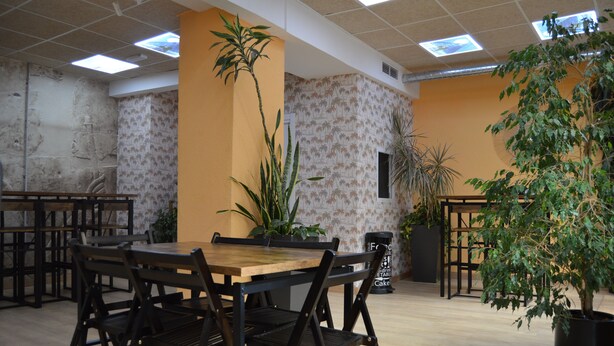 A dining area with a wooden table and chairs, surrounded by potted plants and a patterned wall. - DEBOD HOSTEL (Madrid)