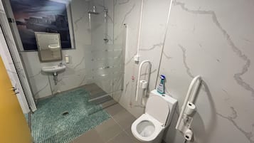 A bathroom with a shower, toilet, sink, and a handrail for accessibility.