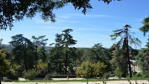 A park with trees, a pathway, and a distant building. - DEBOD HOSTEL (Madrid)