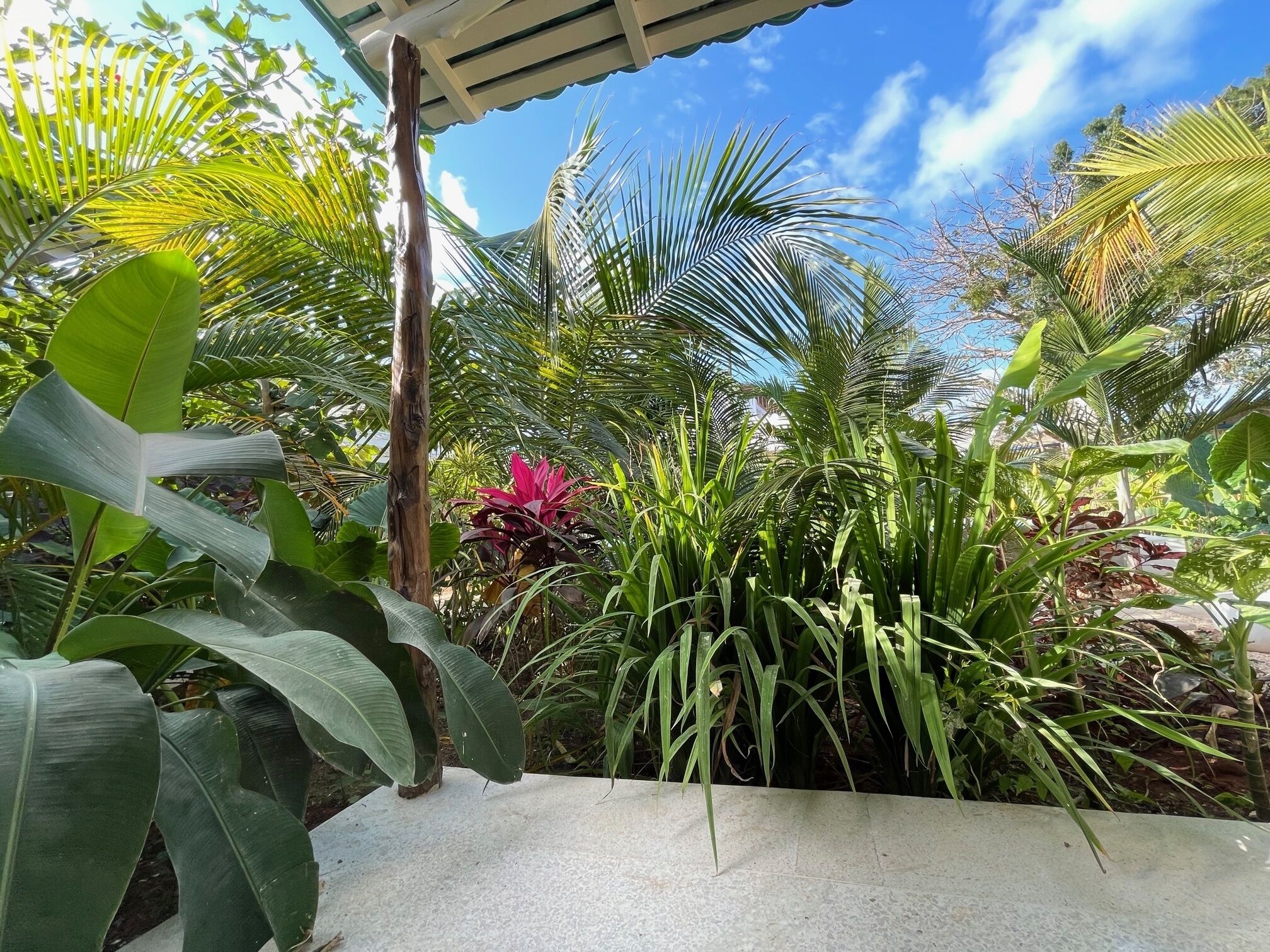 花園景
