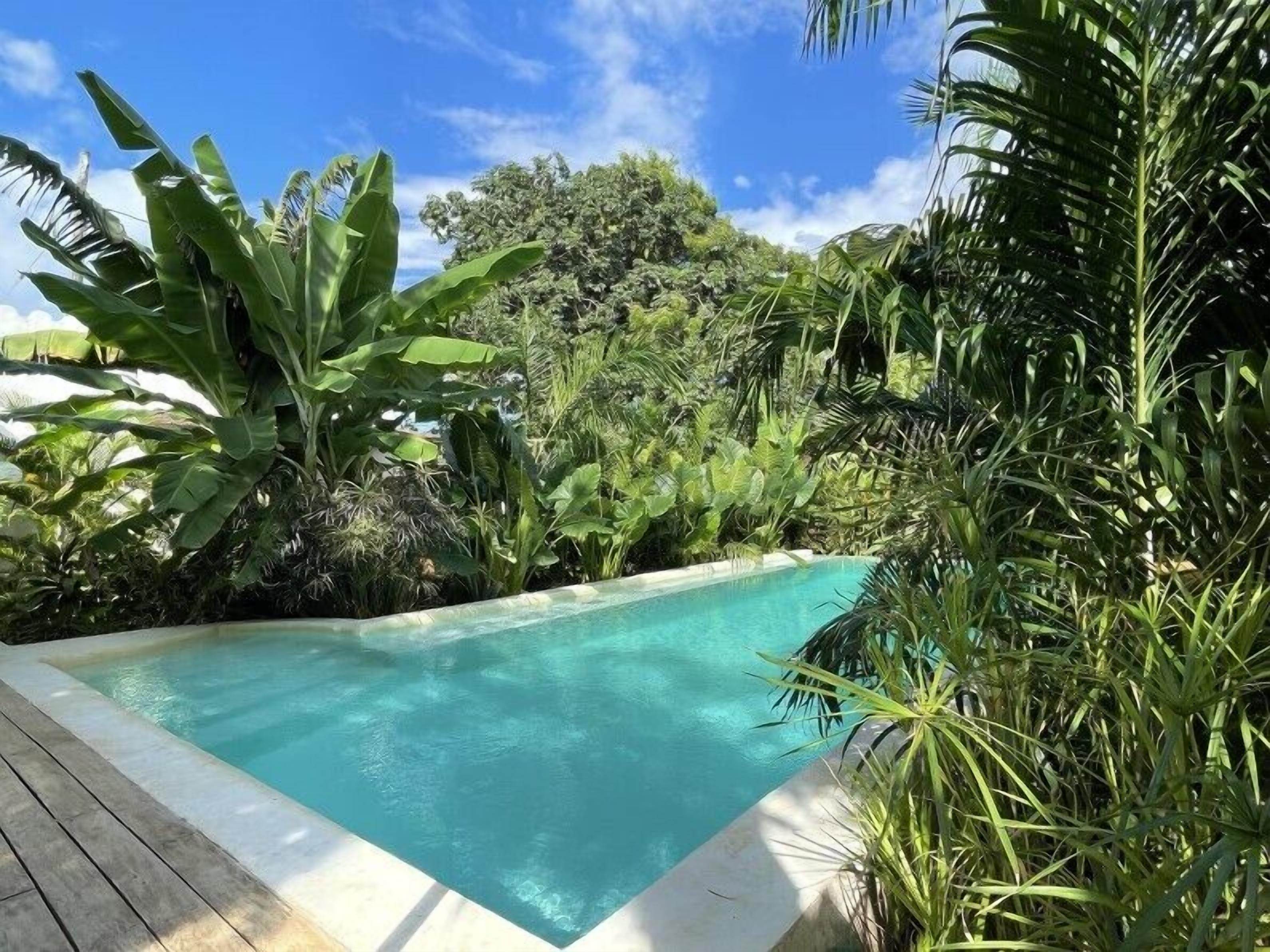 A rectangular pool surrounded by lush greenery and trees.