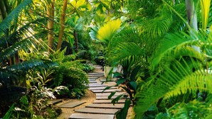 A stone pathway through a lush garden with various green plants and trees. - Gaia Villas (Nungwi)