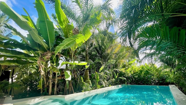 A swimming pool surrounded by lush tropical foliage. - Gaia Villas (Nungwi)