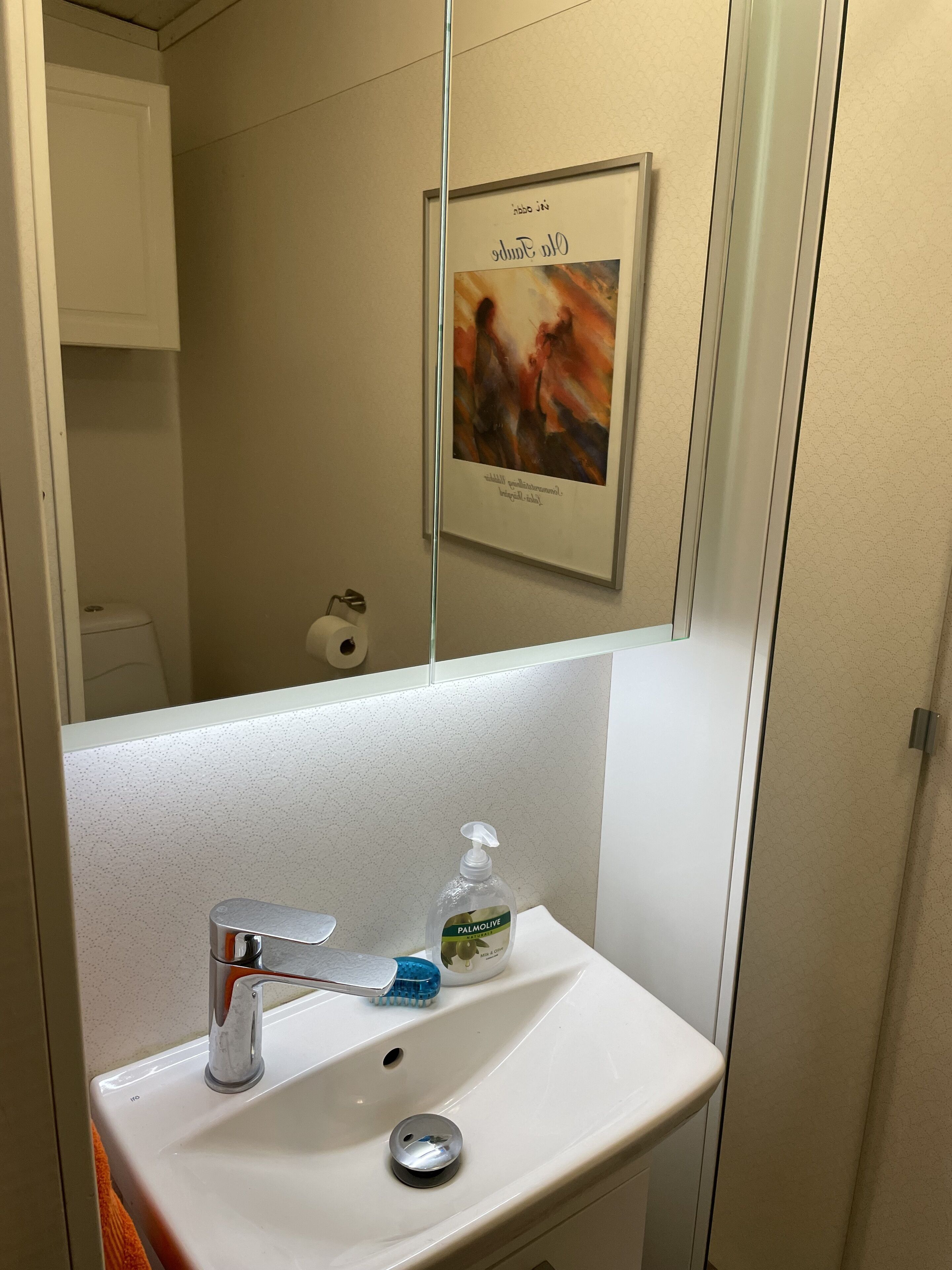 Et badeværelse med en hvid vask, et spejl, et billede i ramme på væggen og et toilet i baggrunden.