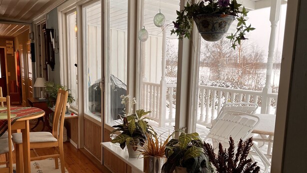 A sunlit room with wooden floors, a dining table with chairs, and a window seat with potted plants. - Headlineee (Norrbottens län)