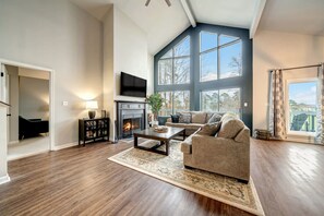 TV, fireplace, video games, books