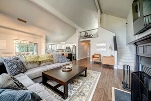 TV, fireplace, video games, books