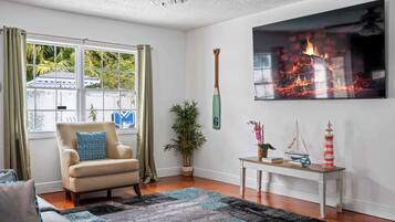 TV, video games, books