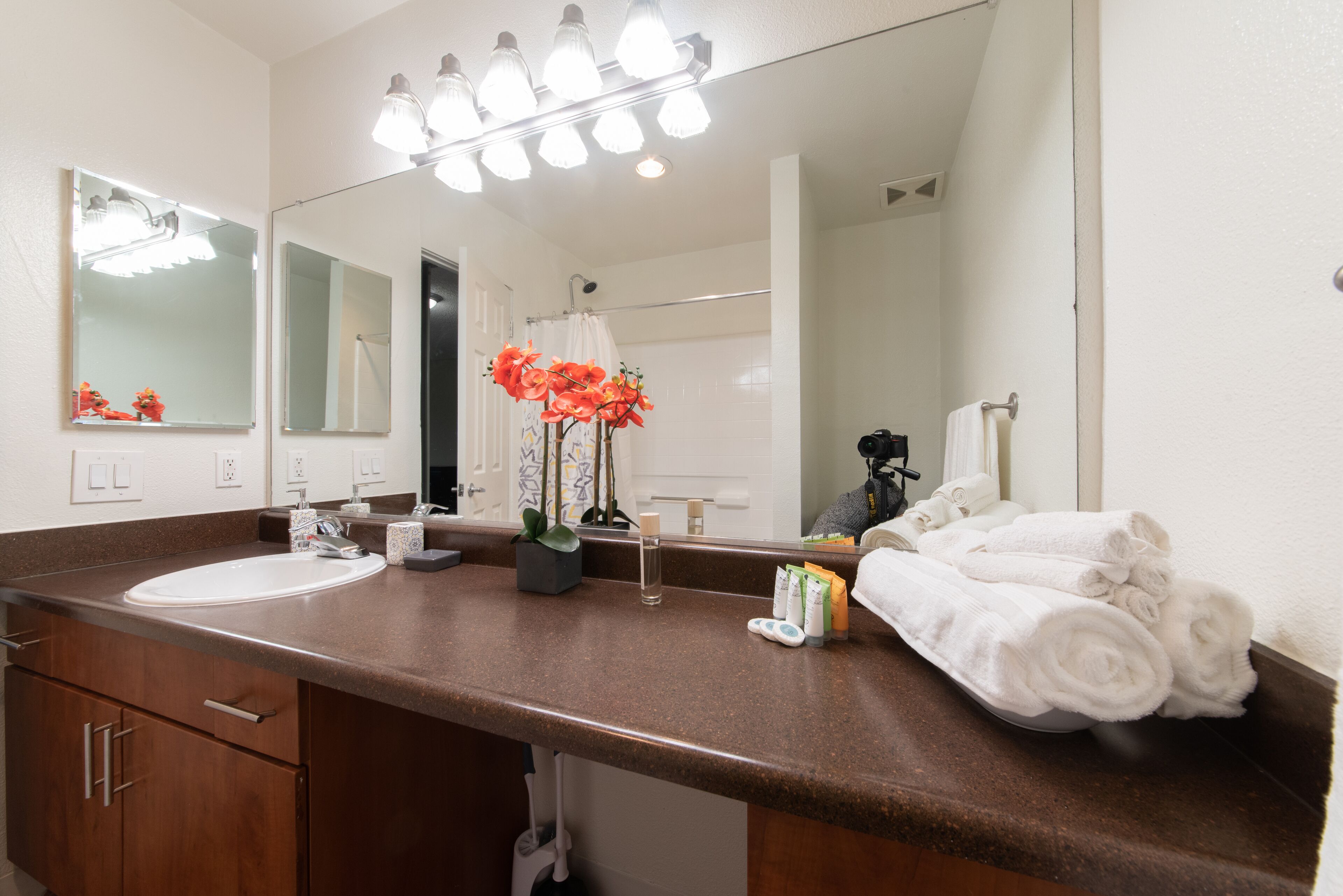 Hair dryer, towels, soap, toilet paper