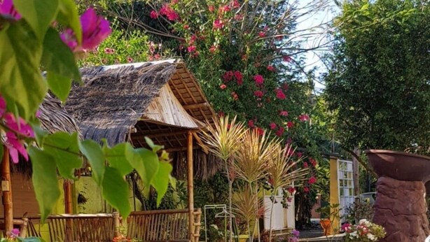 Uma área à beira da piscina com uma estrutura de telhado de palha, um banco de madeira e diversos vasos com plantas e flores.