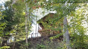 Property grounds - En Forêt, Tranquille, Sans Voisin Proche Mais Proche de Tout (Piopolis)