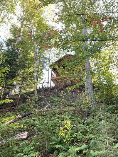 En Forêt, Tranquille, Sans Voisin Proche Mais Proche de Tout