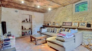 TV, fireplace, DVD player, books