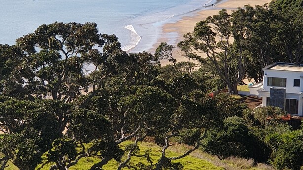 Eine Küstenlandschaft mit Strand, Bäumen und einem modernen Gebäude.