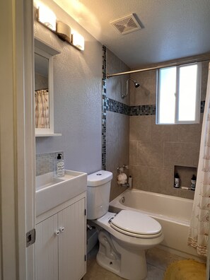 Secador de pelo, toallas, jabón, shampoo