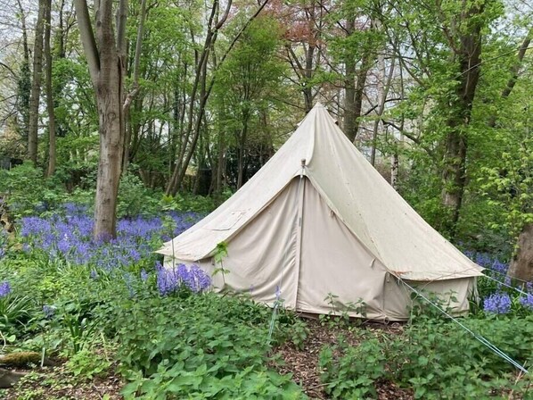 Una tenda color beige in una foresta con alberi fitti e fiori viola.