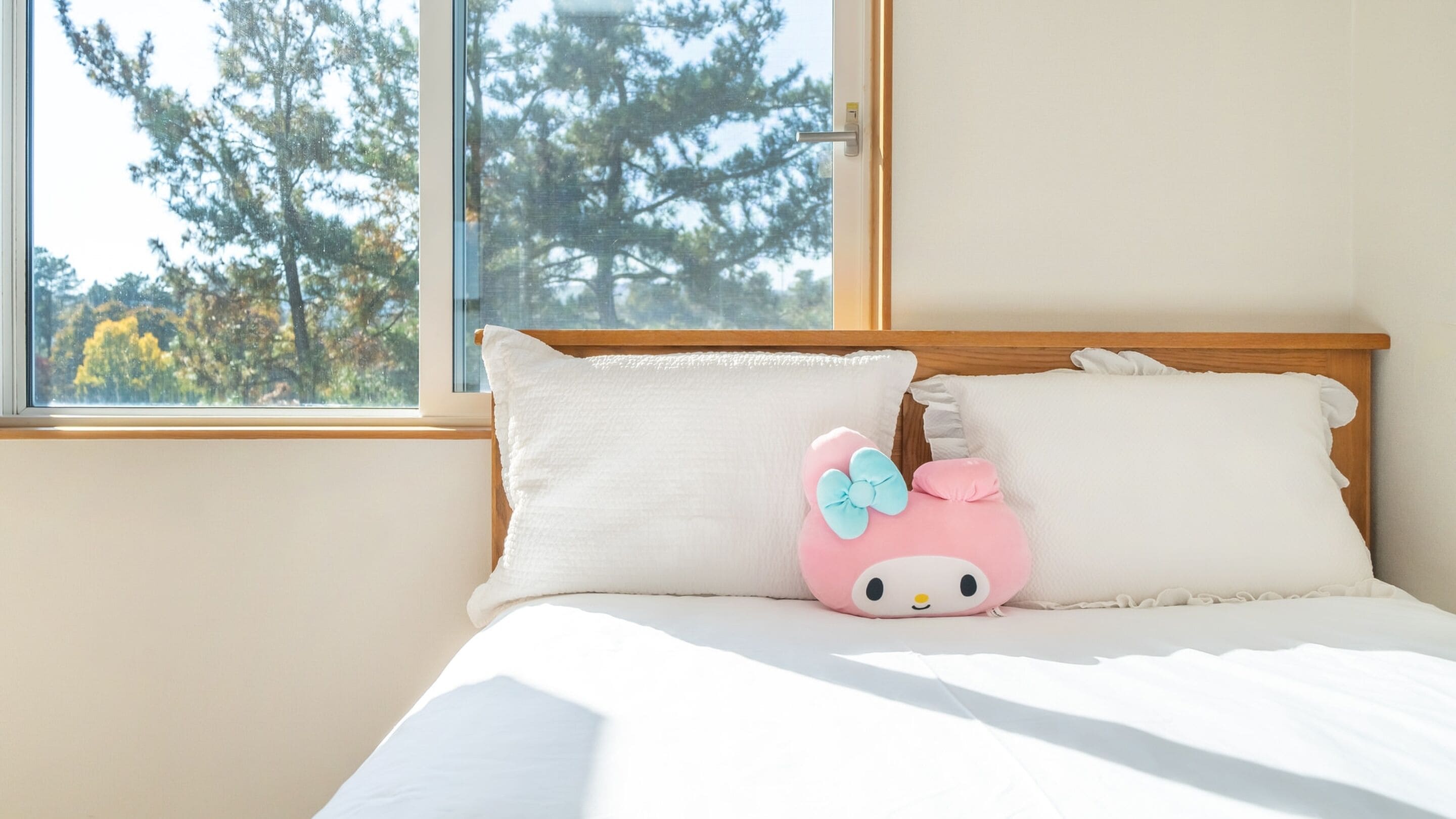 Basic Room, 1 Bedroom (cântara) | 1 bilik tidur, Wi-fi percuma 