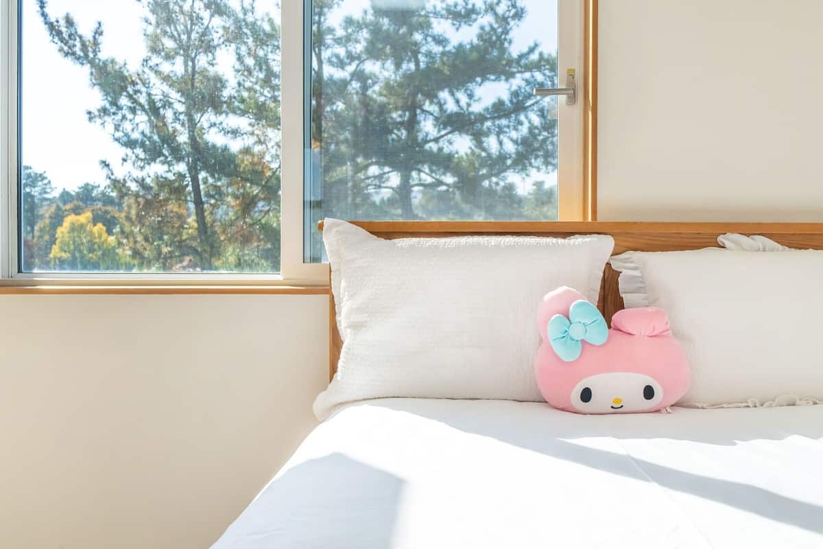 Rom – basic, 1 soverom (cântara) | Eksteriør