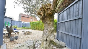 A tree with a thick trunk and a wooden fence in the background. - Gorgeous 3BD Cottage with Parking Nr Guildford (Surrey)