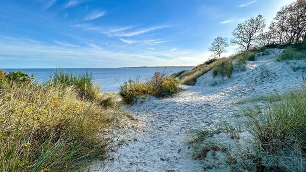 Ein sandiger Küstenpfad führt zum Meer, gesäumt von spärlicher Vegetation, unter einem wolkenlosen Himmel.