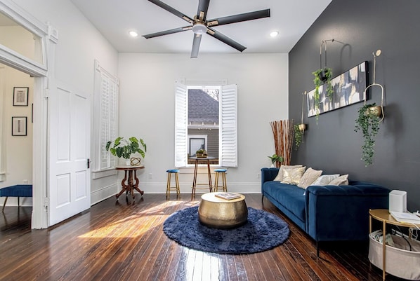 Smart TV, fireplace, books