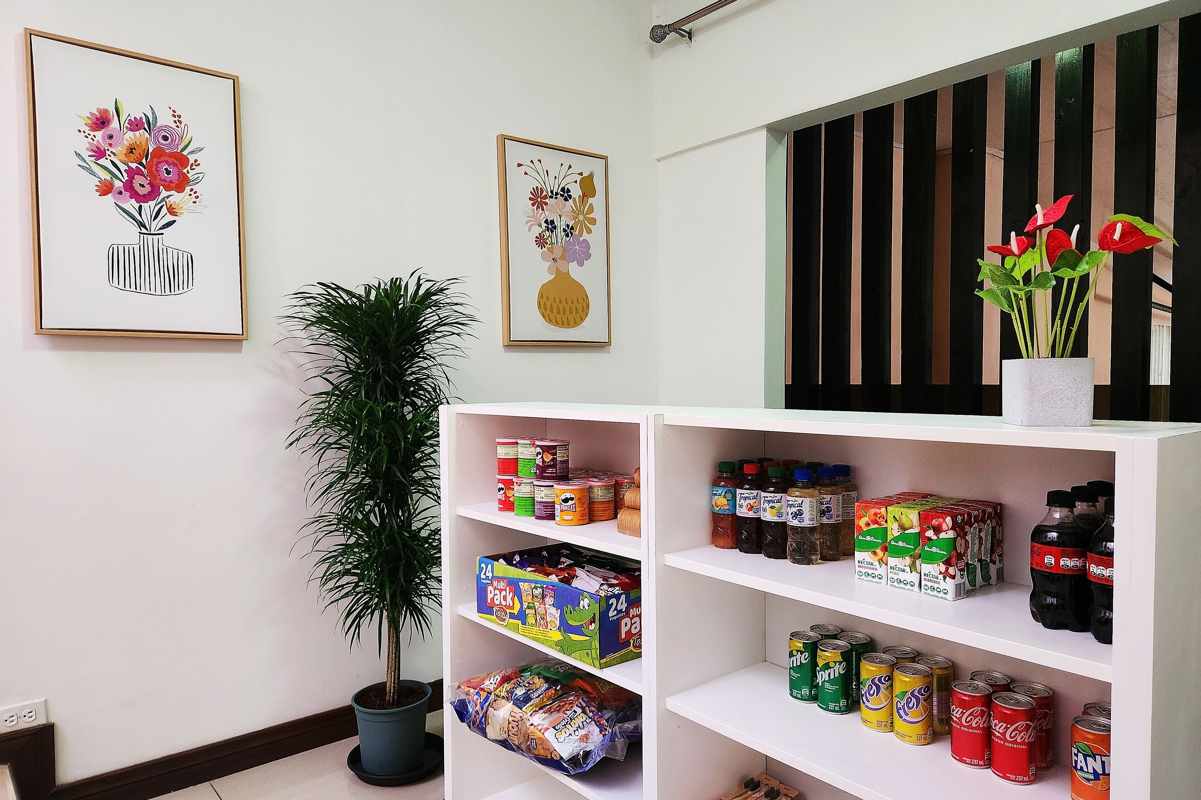 Foto - Viva Guest House