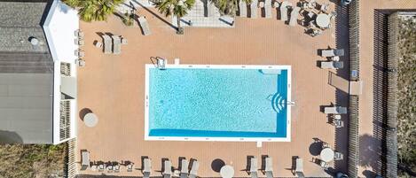 An aerial view of a swimming pool area with lounge chairs and palm trees.