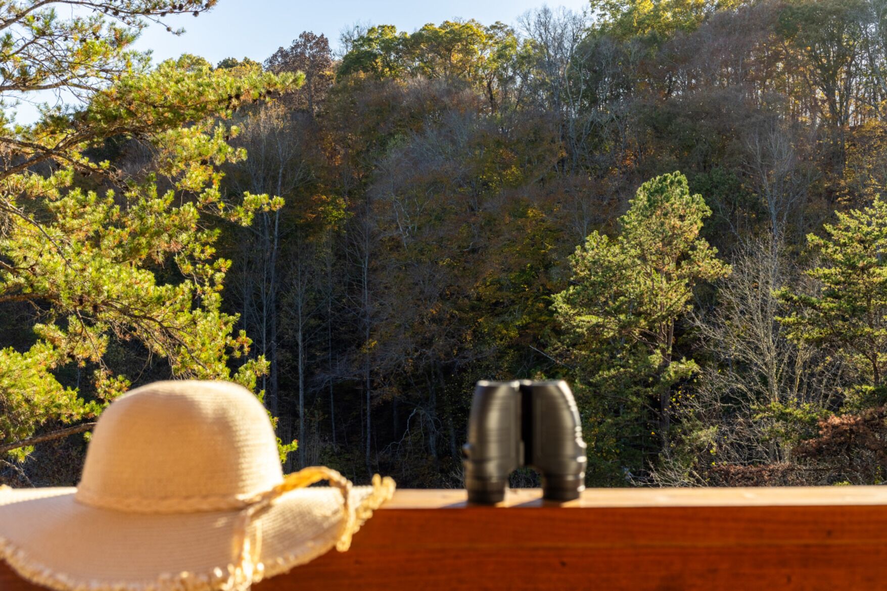 Binoculars and a hat on a wooden ledge with a forest view.