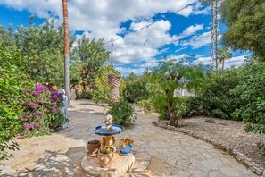 A garden pathway with a fountain, potted plants, and a variety of trees and shrubs.